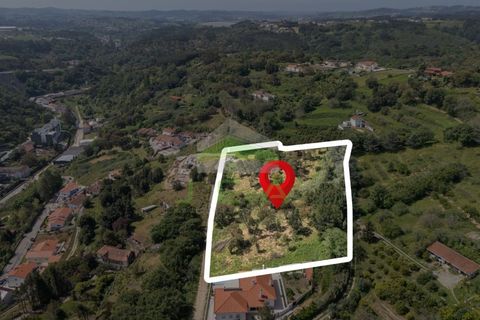 Helårsgrund i Alcobaca, Leiria, Alcobaca - € 550.000 | Ref: 1063 - foto 24