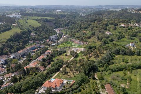 Helårsgrund i Alcobaca, Leiria, Alcobaca - € 550.000 | Ref: 1063 - foto 25