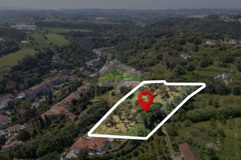 Helårsgrund i Alcobaca, Leiria, Alcobaca - € 550.000 | Ref: 1063 - foto 26