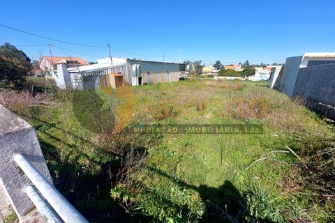 Helårsgrund i Quinta do Anjo, Setubal, Quinta do Anjo - € 245.000 | Ref: 3468 - foto 8