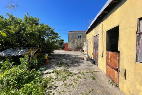 Villa a Ovar, Aveiro, Ovar - € 150.000 | Ref: VG-150 - foto 13