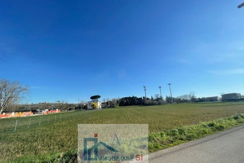 Terra a Benevento, Benevento, Benevento - € 180.000 | Ref: SI67 - foto 9