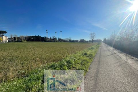 Terra a Benevento, Benevento, Benevento - € 180.000 | Ref: SI67 - foto 12
