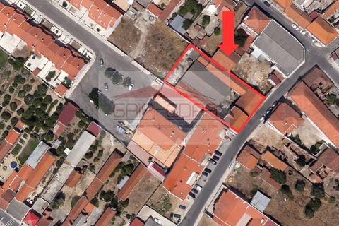 Helårsgrund i Alpiarca, Santarem, Alpiarca - € 208.800 | Ref: AV668 - foto 8