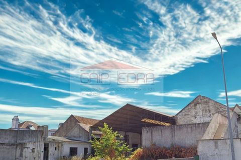 Helårsgrund i Alpiarca, Santarem, Alpiarca - € 208.800 | Ref: AV668 - foto 12