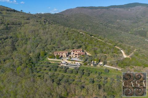 Villa a Cortona, Arezzo, Cortona - € 3.490.000 | Ref: v631924-x - foto 25