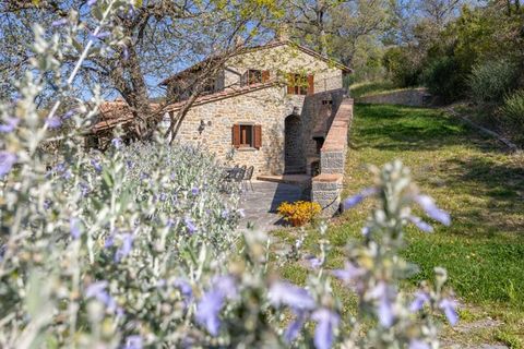 Villa a Cortona, Arezzo, Cortona - € 3.490.000 | Ref: v631924-x - foto 40