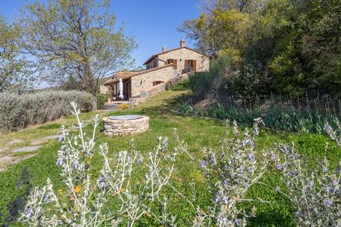 Villa a Cortona, Arezzo, Cortona - € 3.490.000 | Ref: v631924-x - foto 42