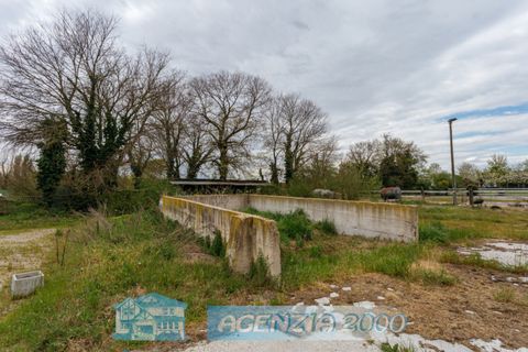 Villa a Tribano, Padua, Tribano - € 560.000 | Ref: S136 - foto 40
