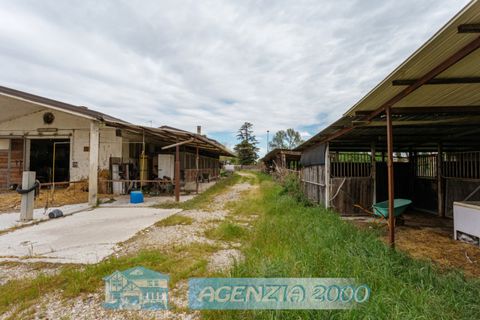 Villa a Tribano, Padua, Tribano - € 560.000 | Ref: S136 - foto 45