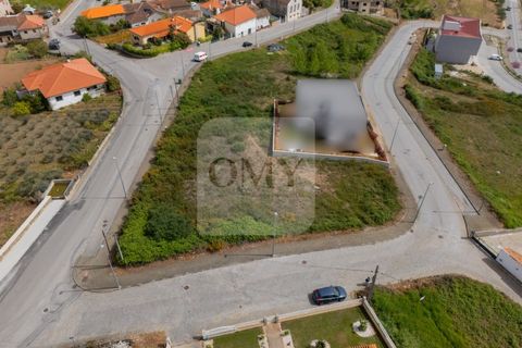 Terra a Sabrosa, Vila Real, Sabrosa - € 50.000 | Ref: TER_1159 - foto 3