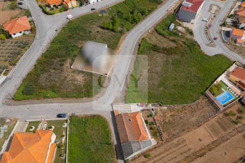 Terra a Sabrosa, Vila Real, Sabrosa - € 50.000 | Ref: TER_1159 - foto 5