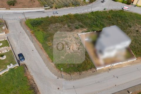 Terra a Sabrosa, Vila Real, Sabrosa - € 50.000 | Ref: TER_1159 - foto 6