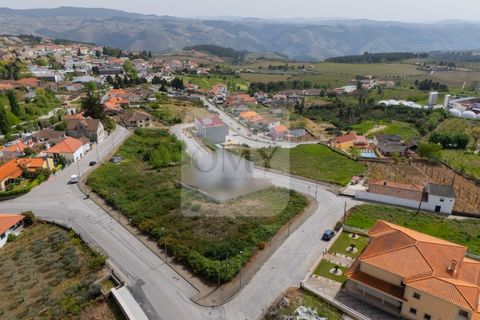 Terra a Sabrosa, Vila Real, Sabrosa - € 50.000 | Ref: TER_1159 - foto 7