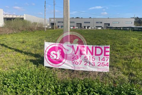 Helårsgrund i Anadia, Aveiro, Anadia - € 100.000 | Ref: TER_1388 - foto 2