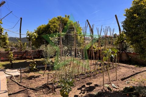 Byhus i Asseiceira, Santarem, Asseiceira - € 110.000 | Ref: STAR_253 - foto 16