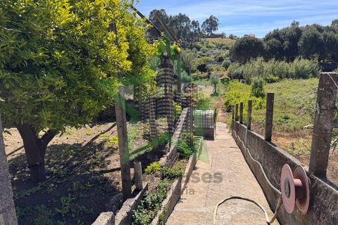 Byhus i Asseiceira, Santarem, Asseiceira - € 110.000 | Ref: STAR_253 - foto 17