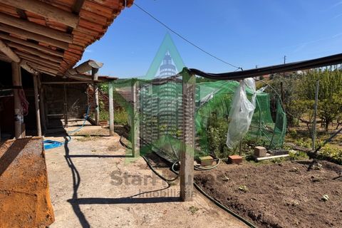 Byhus i Asseiceira, Santarem, Asseiceira - € 110.000 | Ref: STAR_253 - foto 19