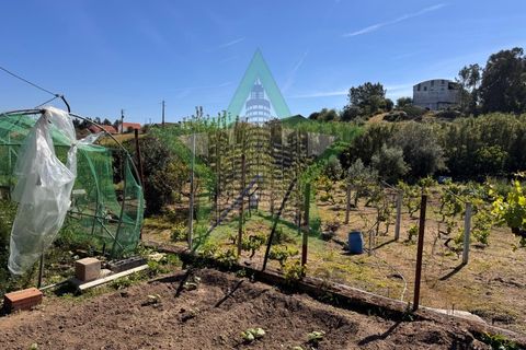 Byhus i Asseiceira, Santarem, Asseiceira - € 110.000 | Ref: STAR_253 - foto 20