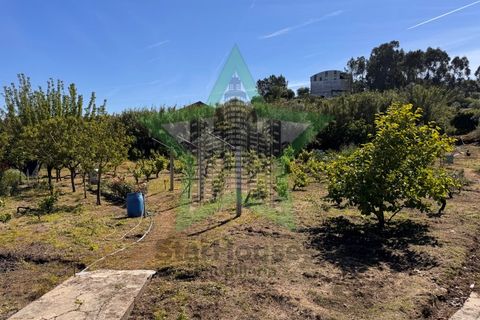 Byhus i Asseiceira, Santarem, Asseiceira - € 110.000 | Ref: STAR_253 - foto 21