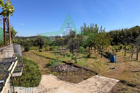 Byhus i Asseiceira, Santarem, Asseiceira - € 110.000 | Ref: STAR_253 - foto 22