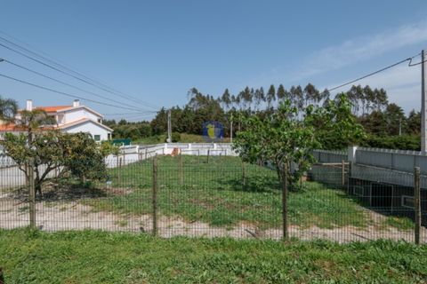 Villa i Obidos, Leiria, Obidos - € 550.000 | Ref: CAL-217092 - foto 11