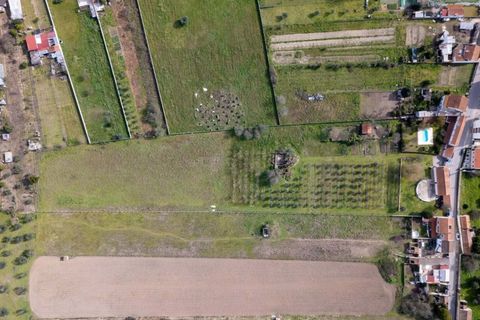 Villa i Abrantes, Santarem, Abrantes - € 498.000 | Ref: L2025323 - foto 20