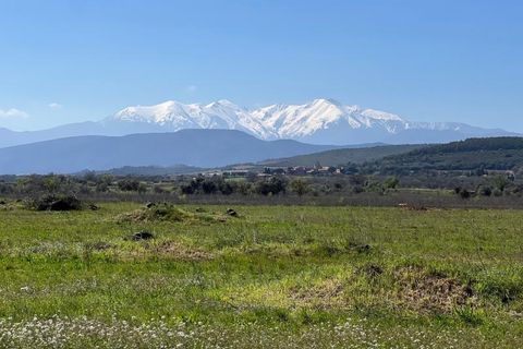 Terra a Llupia, Pyrenees-Orientales, Llupia - € 69.900 | Ref: LLUPIA_68 - foto 2