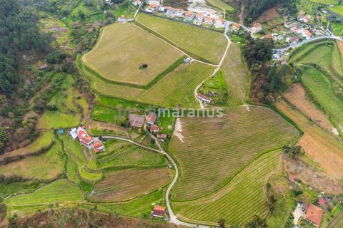 Farm i Amarante, Porto, Amarante - € 650.000 | Ref: Q/11353 - foto 2