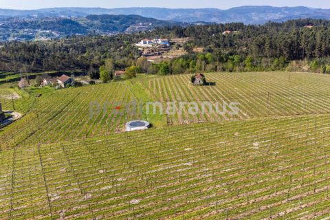 Farm i Amarante, Porto, Amarante - € 650.000 | Ref: Q/11353 - foto 3