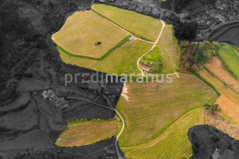 Farm i Amarante, Porto, Amarante - € 650.000 | Ref: Q/11353 - foto 8