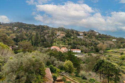 Villa a Sintra, Lisbon, Sintra - € 10.000/mes | Ref: 8890_ARR - foto 25