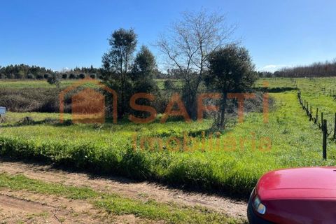 Terra a Anadia, Aveiro, Anadia - € 34.950 | Ref: SAFTI:008155 - foto 9