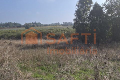 Terra a Anadia, Aveiro, Anadia - € 34.950 | Ref: SAFTI:008155 - foto 5