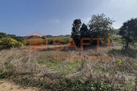 Terra a Anadia, Aveiro, Anadia - € 34.950 | Ref: SAFTI:008155 - foto 3
