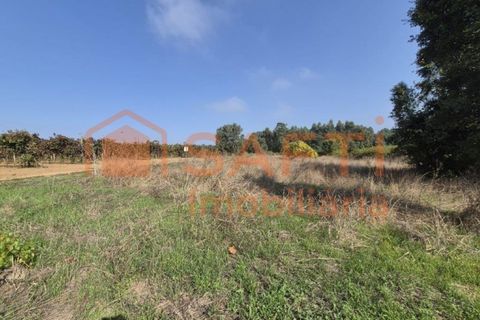 Terra a Anadia, Aveiro, Anadia - € 34.950 | Ref: SAFTI:008155 - foto 4