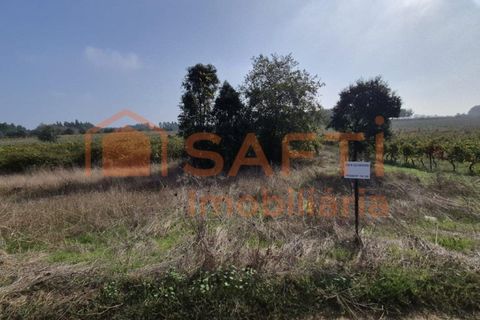 Terra a Anadia, Aveiro, Anadia - € 34.950 | Ref: SAFTI:008155 - foto 7
