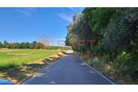 Tomt i Anadia, Aveiro, Anadia - € 34 950 | Ref: SAFTI:008155 - foto 4