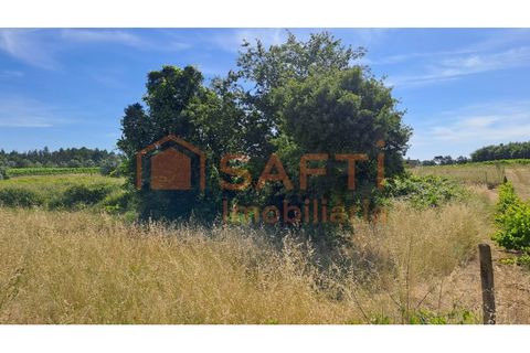 Tomt i Anadia, Aveiro, Anadia - € 34 950 | Ref: SAFTI:008155 - foto 9