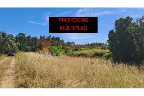 Grond in Anadia, Aveiro, Anadia - € 29.950 | Ref: SAFTI:008155 - foto 2