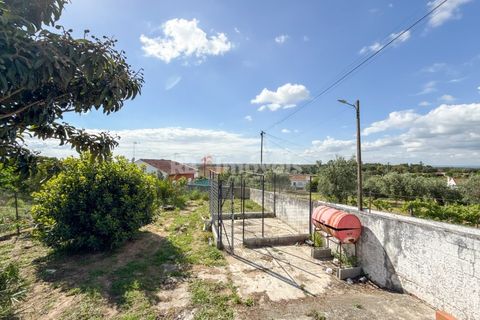 Villa a Abrantes, Santarem, Abrantes - € 210.000 | Ref: 01975-26 - foto 9