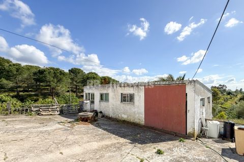 Villa a Abrantes, Santarem, Abrantes - € 210.000 | Ref: 01975-26 - foto 10