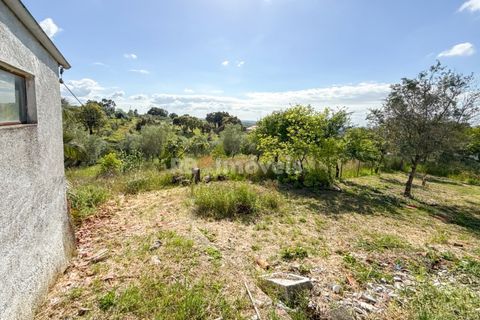 Villa a Abrantes, Santarem, Abrantes - € 210.000 | Ref: 01975-26 - foto 12