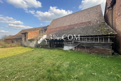 Farm hus i Ingenheim, Bas-Rhin, Ingenheim - € 169.000 | Ref: 56_V1020063790 - foto 13