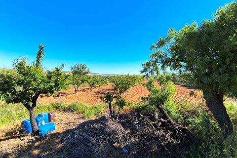 Landejendom i Yecla, Murcia, Yecla - € 99.990 | Ref: 70113a - foto 18