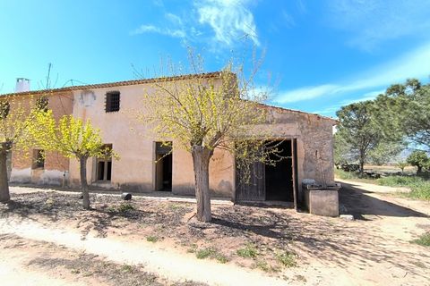 Landejendom i Yecla, Murcia, Yecla - € 131.980 | Ref: 70113b - foto 2