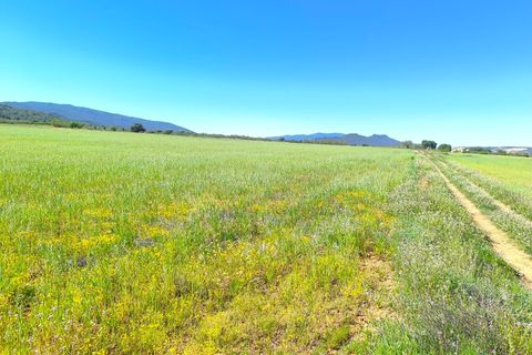 Helårsgrund i Yecla, Murcia, Yecla - € 70.000 | Ref: 70118 - foto 3
