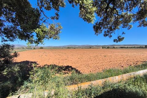 Helårsgrund i Yecla, Murcia, Yecla - € 29.500 | Ref: 70114 - foto 2