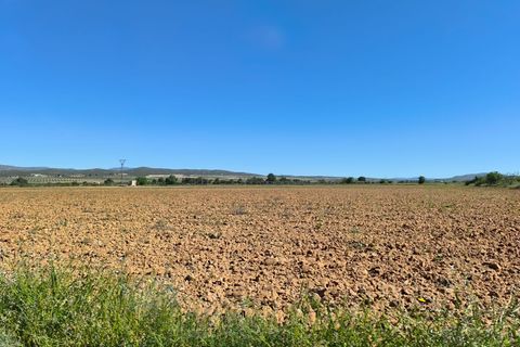 Helårsgrund i Yecla, Murcia, Yecla - € 29.500 | Ref: 70114 - foto 3