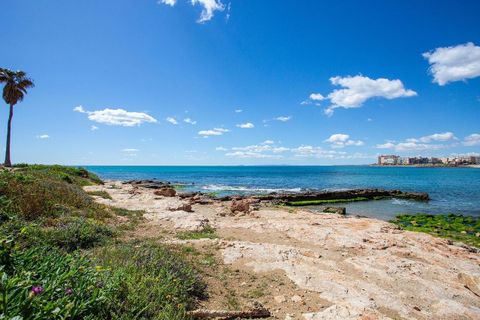 Bungalow i Torrevieja, Alicante, Torrevieja - € 155.000 | Ref: 777121 - foto 35
